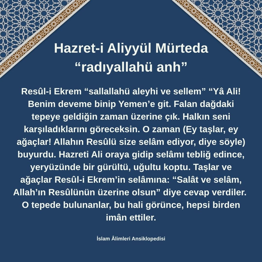 Aliyyül Mürteda (27)